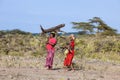 African women collecting firewood