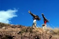 African women carrying wood