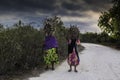 African women carrying wood