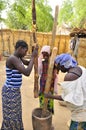 AFRICAN women at work preparing food Royalty Free Stock Photo