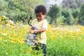 African 3 years old boy holding a big and heavy watering can, watering flowers garden on sunny day. Cute little child gardening, Royalty Free Stock Photo