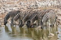 African Zebra Royalty Free Stock Photo