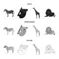 African zebra, animal koala, giraffe, wild predator, lion. Wild animals set collection icons in black,monochrome,outline Royalty Free Stock Photo