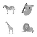 African zebra, animal koala, giraffe, wild predator, lion. Wild animals set collection icons in monochrome style vector Royalty Free Stock Photo