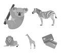 African zebra, animal koala, giraffe, wild predator, lion. Wild animals set collection icons in monochrome style vector Royalty Free Stock Photo