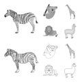 African zebra, animal koala, giraffe, wild predator, lion. Wild animals set collection icons in outline,monochrome style Royalty Free Stock Photo