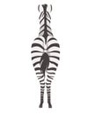 African zebra back view cartoon animal design flat vector illustration isolated on white background Royalty Free Stock Photo