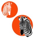african zebra head with red sun disk vector design set Royalty Free Stock Photo