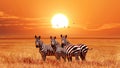 African zebras at beautiful orange sunset in the Serengeti National Park. Tanzania. Wild nature of Africa. Royalty Free Stock Photo