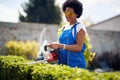Afro-American Gardener Perfecting Hedges with Skill and Artistry Royalty Free Stock Photo