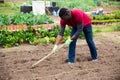 Afro-american man using hoe treats the garden beds Royalty Free Stock Photo