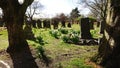 Afterlife. Old English Graveyard. Gravestones R. I. P