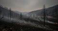 Aftermath of a devastating forest fire with smoke lingering in the valley Royalty Free Stock Photo