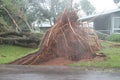 Hurricane Fiona Royalty Free Stock Photo