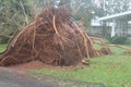 Hurricane Fiona Royalty Free Stock Photo