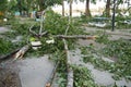 Aftermath of the hurricane July 19, 2023 Sremska Mitrovica, Serbia. Broken trees, mess on the streets. Broken branches, bent