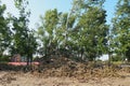 Aftermath of the hurricane July 19, 2023 Sremska Mitrovica, Serbia. Broken trees, mess on the streets. Broken branches