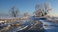 The aftermath of ice storms is a delicate dance between beauty and destruction. While the icecovered landscape is