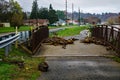 Aftermath of the Roanoke River Greenway Flooding Royalty Free Stock Photo