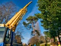 In the aftermath of Storm Arwen a scots pine tree is removed by separating the crown and lifting with a crane Royalty Free Stock Photo