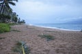 Aftermath of Storm with Debris on Beach in Hawaii Royalty Free Stock Photo