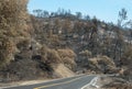 Aftermath of the wildfire near Lake Berryessa