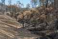 Aftermath of the wildfire near Lake Berryessa