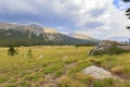 Afternoon of a beautiful grass field in Yosemite Royalty Free Stock Photo