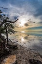 Afternoon clouds and color in Key Largo