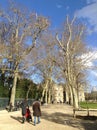 Afternoon at Jardin du Luxembourg