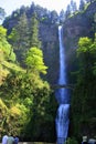 Afternoon Light on Mulnomah Falls, Columbia River Gorge near Portland, Multnomah Falls, Oregon, Pacific Northwest, USA Royalty Free Stock Photo