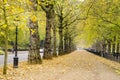 Afternoon in London Hyde Park walkway Royalty Free Stock Photo