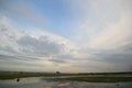 Afternoon nature landscape of Gaomei Wetlands