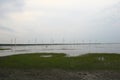 Afternoon nature landscape of Gaomei Wetlands