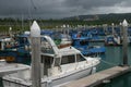 Afternoon overcast view of the famous Houbihu Marina