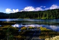 Afternoon at Reflection Lake Royalty Free Stock Photo