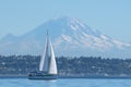 Afternoon sail on Elliott Bay Royalty Free Stock Photo