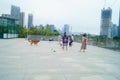 Shenzhen, China: women walk their dogs outdoors and play with their pets.