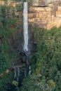afternoon shot of fitzroy falls from jersey lookout at morton national park Royalty Free Stock Photo
