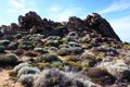 Rocky landscape near Yallingup Western Australia Royalty Free Stock Photo