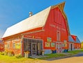 Summer farm stand with cut Sunflowers for sale