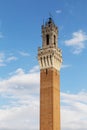 Afternoon Siena Mangia tower Royalty Free Stock Photo