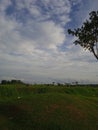 Afternoon sky is clear and the clouds spread wide on the green grass Royalty Free Stock Photo