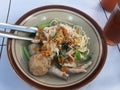 Mie ayam. The Indonesian chiken noodle Royalty Free Stock Photo