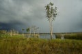 Northern territory wetland with incoming storm