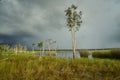 Northern territory wetland with incoming storm