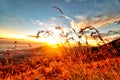 Afternoon sunset on the top mountain grass Royalty Free Stock Photo