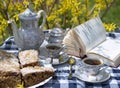 Afternoon tea in the garden Royalty Free Stock Photo