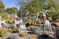 Afternoon view of the cactus garden with christmas decoration of Ethel M Chocolate Factory