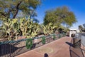 Afternoon view of the cactus garden with christmas decoration of Ethel M Chocolate Factory Royalty Free Stock Photo